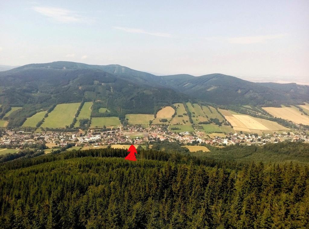 Penzion Pohoda - Apartmany Jesenik Luaran gambar